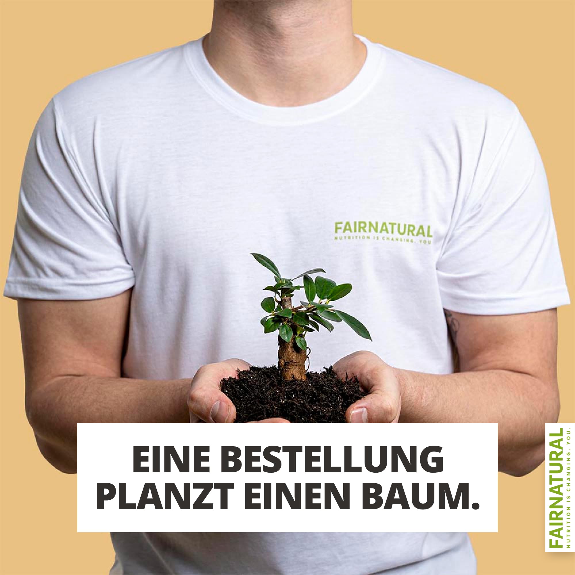 FAIRNATURAL Bio Veganes Proteinpulver Vanille ohne Soja [600G] 5K Protein Pulver Laktosefrei - Vegan Protein Powder - Pflanzliches Proteinpulver - Regional aus DE - Proteinshake Vegan - Eiweißpulver 9