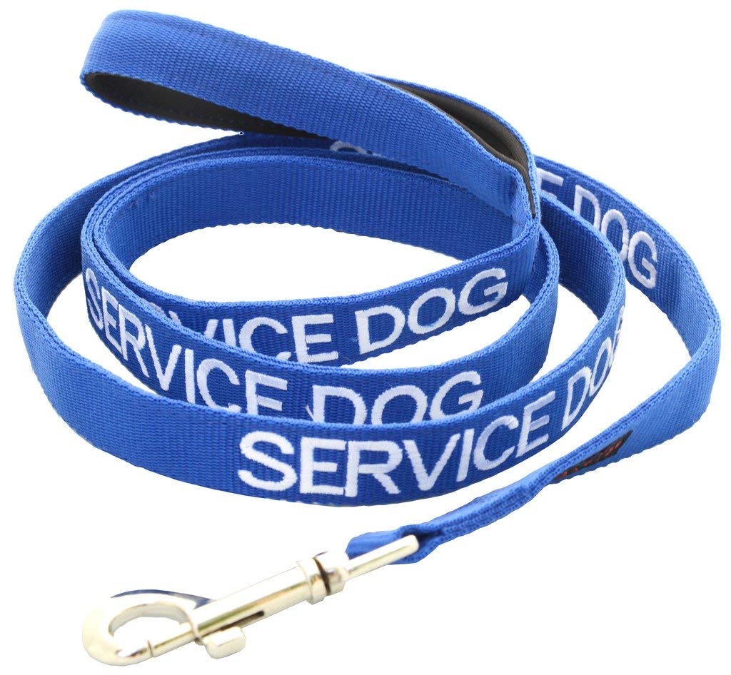 Dexil Limited SERVICE DOG Blue 60cm 120cm 180cm Padded Dog Lead PREVENTS Accidents By Warning Others of Your Dog in Advance (180cm)