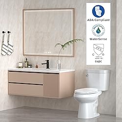 Two Piece Toilets Elongated, 21" Extra Tall Toilet