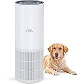 ORB 2-in-1 Air Purifier & Humidifier Combo for Bedroom β HEPA Filter, Quiet, Auto Mode, No Mist, Removes Dust Smoke Odors Pet Dander, Top Fill, Covers 500 Sq Ft