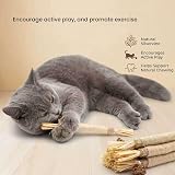 flowerstarry 6 Packs Natural Matatabi Silvervine Cat Chew Sticks 21cm view 6