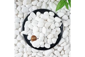 SIDONG 5 LB White River Rocks, 0.4-1.2 Inches Matte Pebbles for Indoor Plants, Aquarium Rocks Used in Fish Tank, Decorative Stones for Plants, Vases, Home Décor, Crafting, Garden Landscaping