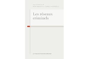 Les réseaux criminels (French Edition)