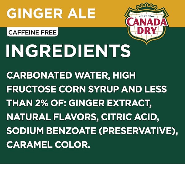 CANADA DRY GINGER ALE SODA, 12 FL OZ CANS, 12 PACK
