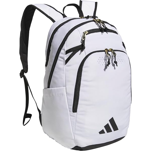 ar rifle concealed hiking backpack SBR Rifle Backpack
