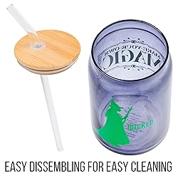 Silver Buffalo Wicked Featuring Elphaba Make Your