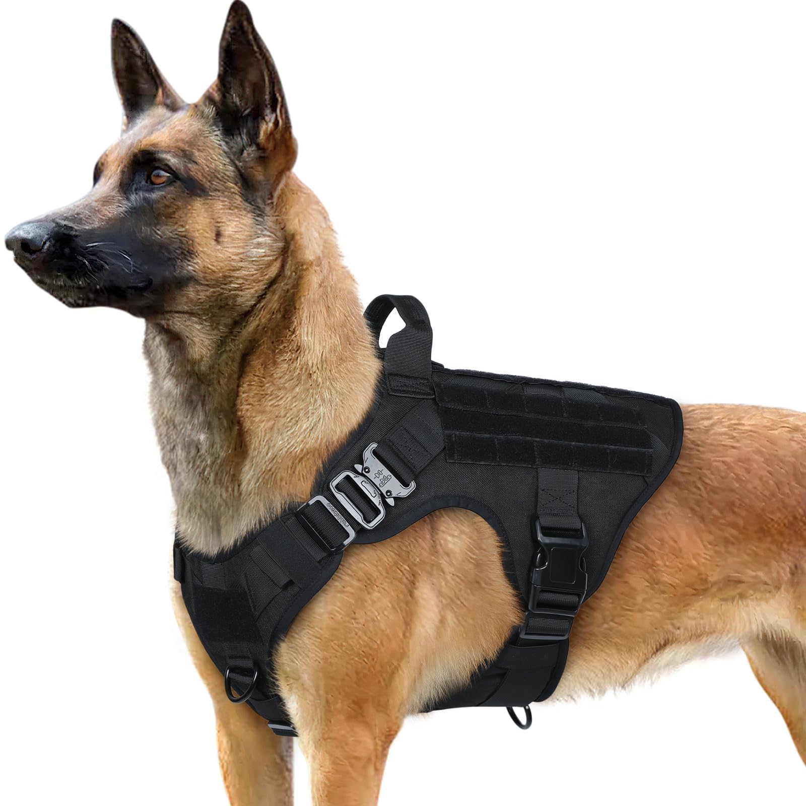 Photo 1 of rabbitgoo Tactical Dog Harness Medium Sized, Heavy Duty Pet Harness with Handle, No-Pull Service Vest Medium Breed, Adjustable Military Dog Vest for Training Hunting Walking, Black, M