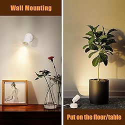 2 Pack LED Spot Lights Indoor, 3W Uplighting With