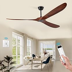 Chriari 60'' Ceiling Fan With Remote and Wall