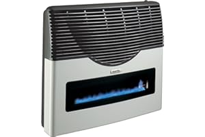 MARTIN Direct Vent Propane Wall Heater | CSA Certified Direct Vent Propane Heater for Clean Gas Energy | Adjustable Thermosta