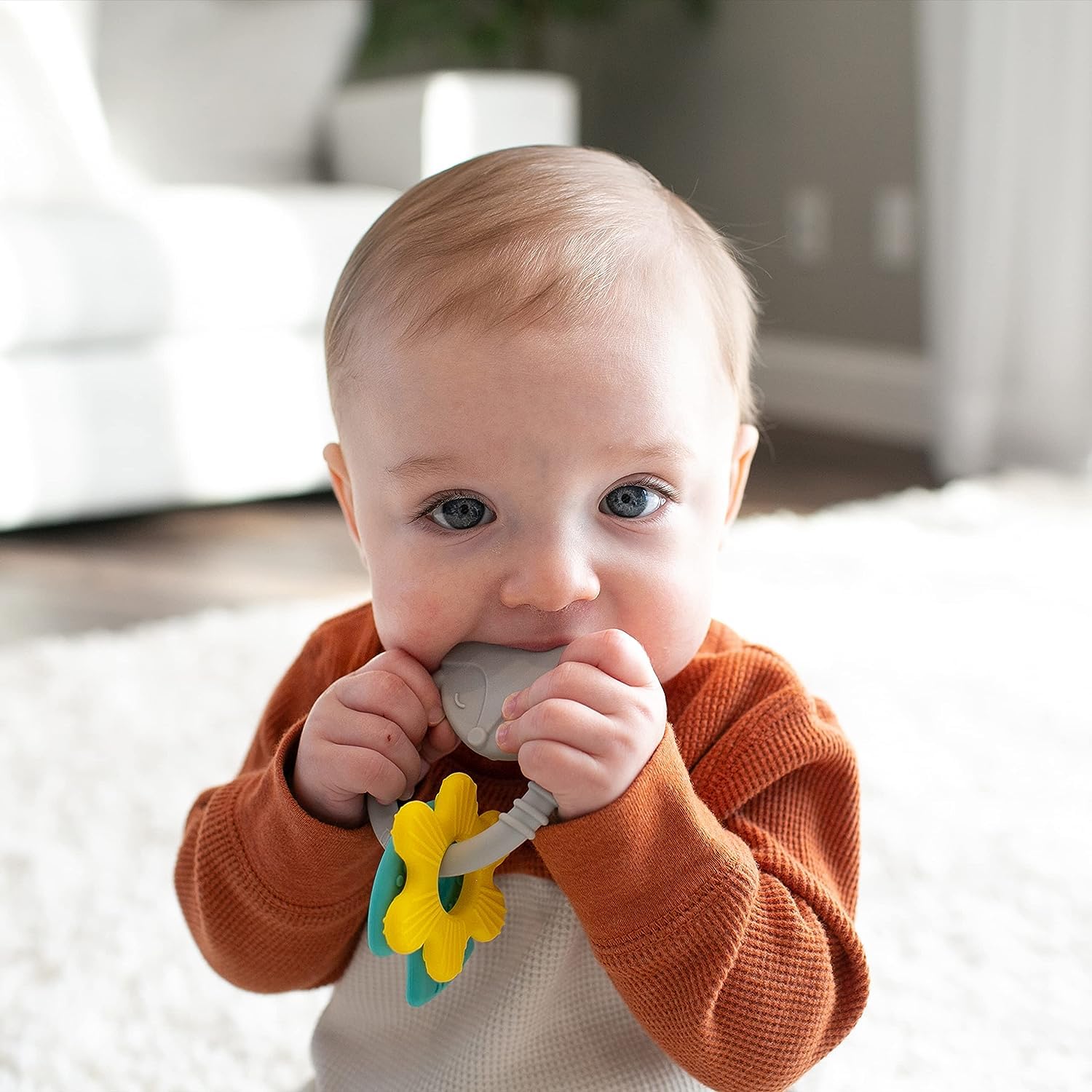Dr. Brown’s Learning Loop Silicone Ring Teether, Fox - 3m+