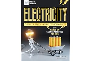 Electricity (Build It Yourself)