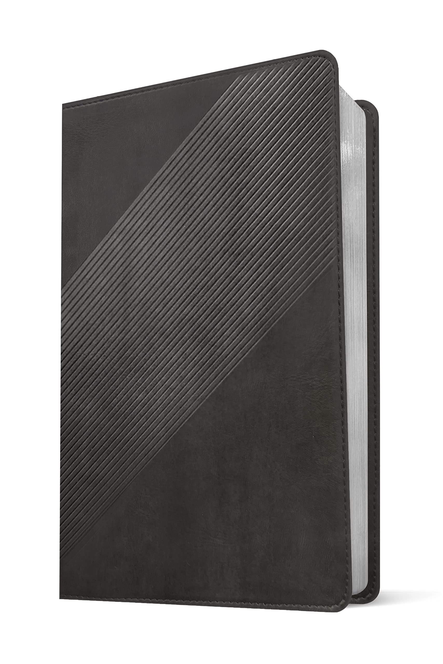 NLT Student Life Application Study Bible, Filament Enabled (LeatherLike, Charcoal Gray Striped, Red Letter) NLT Student Life Application Study Bible, Filament Enabled (LeatherLike, Charcoal Gray Striped, Red Letter) Imitation Leather