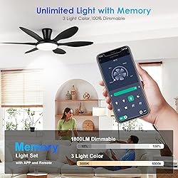 Ceiling Fans with Lights, 51 inch Modern Black Low