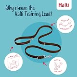 Halti Training Lead Double-Ended Dog Lead Large 2m Deep Walnut view 3