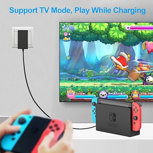 Nintendo Switch Lite Ac Adapter Nintendo Switch Charger