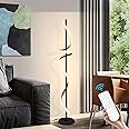 EIDISUNY Modern Spiral Floor Lamp with Remote Control, 48W LED Floor Lamps for Living Room, 3 Colors Dimmable Tall Standing Lamp for Living Room, 60'' Modern Floor lamp for Bedroom Black