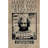 Harry Potter Sirius Black Wanted Poster,Size (24x36)