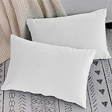 Sleepsia  Pillow Inserts (Set of 2)