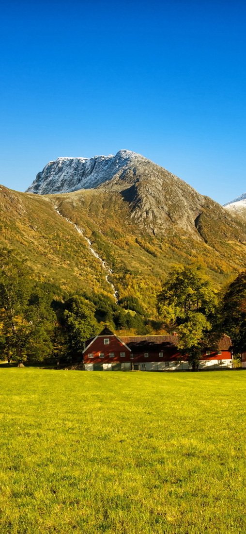 PeelitStickit, Beautiful Nature Wall Murals, ID-2850, vinyl