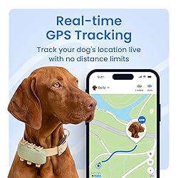 Tractive XL Smart Dog GPS Tracker | Live Pet