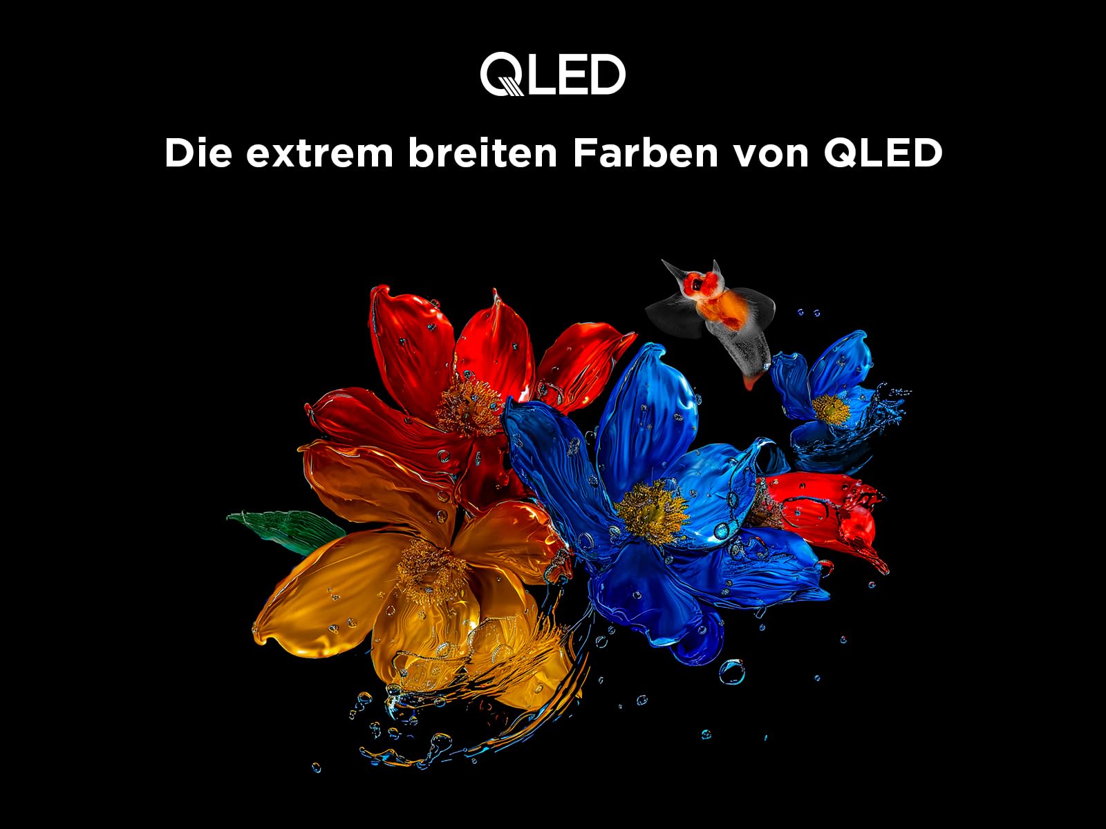 TCL 65T6C 65 Zoll QLED Fernseher, 4K UHD Fire TV, HDR10+, Dolby Vision & Atmos, Smart TV mit Sprachsteuerung mit Alexa, Google Cast & AirPlay 2 5