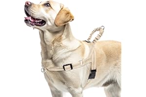 PUPTECK No Pull Dog Harness Medium Sized Dog, Adjustable Reflective Pet Vest Harness with Bungee Handle, Escape Proof No Choke Harness for Medium Dogs Walking Training, Beige L