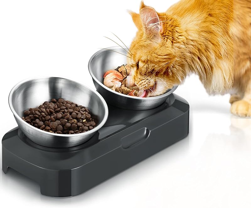 PewinGo Cat Bowls with Stainless Steel 0° & 15° Tilt, Non-Slip Base