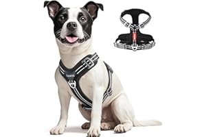 Tacwild No Pull Dog Harness - Adjustable Reflective Dog Vest with Metal Snap, Soft Breathable Mesh No Choke Puppy Harness, Easy to Put on & Take Off (Black-M)