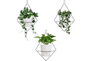 Koalaime 3 Sets Wall Planters for Indoor Plants Geometric Hanging Planters for Indoor Plants - Self-Watering Flower Pots with Black Metal Holder, Mounted Succulent Planter, 5" Black Plant Pot