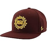 ZHATS NCAA Unisex-Adult NCAA Officially Licensed Adjustable Hat Z11 Vault