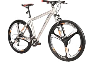 URBICIKA Mens Mountain Bike,Aluminum Frame 29 inch Bikes for Adults,21 Speed Bicycle for Men