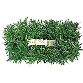 SodPods&reg; St. Augustine Scotts&reg; ProVista&trade; Grass Plugs for Lawn Repair, 3" x 3" Each (32-Count) &ndash; Cannot Ship to California/Arizona