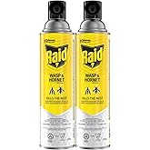Raid Wasp and Hornet Killer, Wasp Killer Spray for Home Use Kills Bugs and Nests on Contact, Including Paper Wasps, Yellow Ja