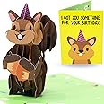 Funny Birthday Card - 3D Pop Up Squirrel 5x7 Inch - Unique Pop Up Funny Birthday Cards for Men and Women - Birthday Gift - Humorous Greeting Card for All Ages