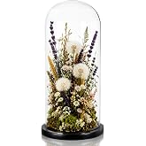 ZOOFOX 13.8 Inch Tall Glass Dome with Base, Clear Glass Empty Display Cloche, Decorative Bell Jar for Succulents, Collectibles, Fairy Lights, Photos, Medals, Heirlooms