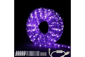 beatineon 33FT Rope Lights Outdoor with Remote,Cuttable Connectable, 300LEDs Strip Lights with Adjustable Brightness Waterproof with Plug for Patio,Christmas Decoration(Purple)