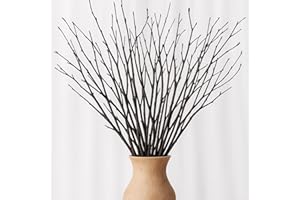 ESLIBIN Birch Twigs Decorative Sticks for Vases – 25pcs Natural Brown Birch Branches for Crafts, Rustic Twig Decor, Vase Fillers, Wedding Centerpieces, DIY Floral, Decoration, Indoor, Outdoor