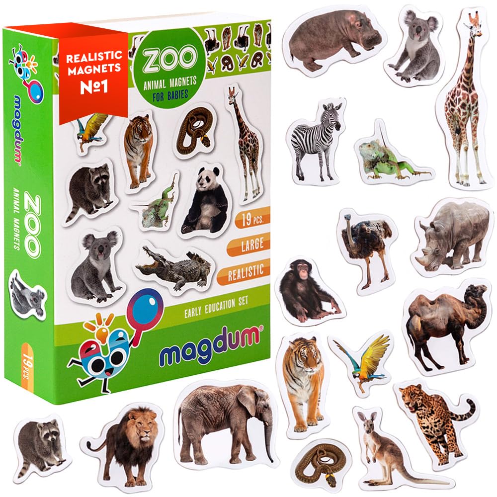 Zoo Animal Magnets for Kids - Magdum - 19 Large Fridge Magnets - Realistic Jungle Animals Learning Toy for Toddlers - Educational Preschool Set - Strong Durable Safe Magnets - Kids Gift β image 1