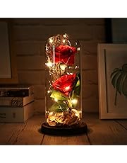 Kmart's christmas game is strong Shop Amazon.com | Snow Globes