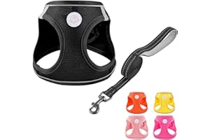 HIHANHAN Dog Harness with Leash Set, No Pull Adjustable Reflective Step-in Puppy Pet Vest Harnesses for Small Medium Large Do
