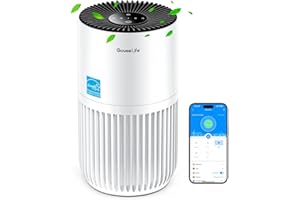 GoveeLife Mini purificateur d'air pour chambre à coucher, filtre intelligent HEPA avec application Alexa pour poils d'animaux
