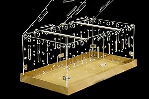 GuineaLoft™ Acrylic Cage (Model-C) - Starter Cage w/Lid for a Single Small Animal, DIY Extendable & Stackable, Disposable Bottom - Visit The Guinea Loft Store to See It All