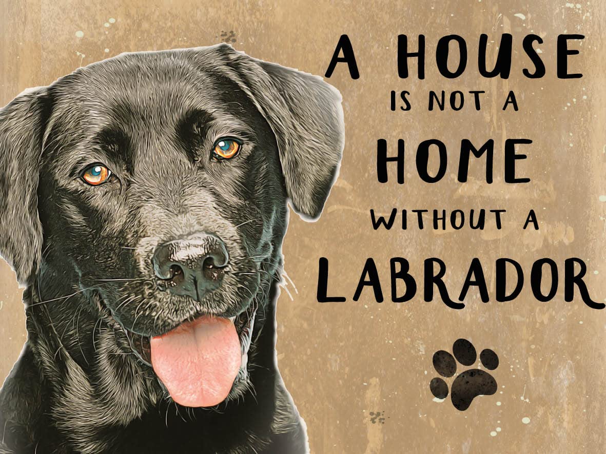 Small (150 x 200mm) Metal Sign - A House is Not a Home - Black Labrador