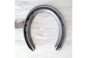 The Heritage Forge Steel Horseshoes Set for Horses, Crafts, Decorations and Backyard Games - Lite Rim Size 0 - Sand Blasted 40 Shoes