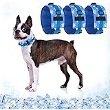 k9 chill cooling collar