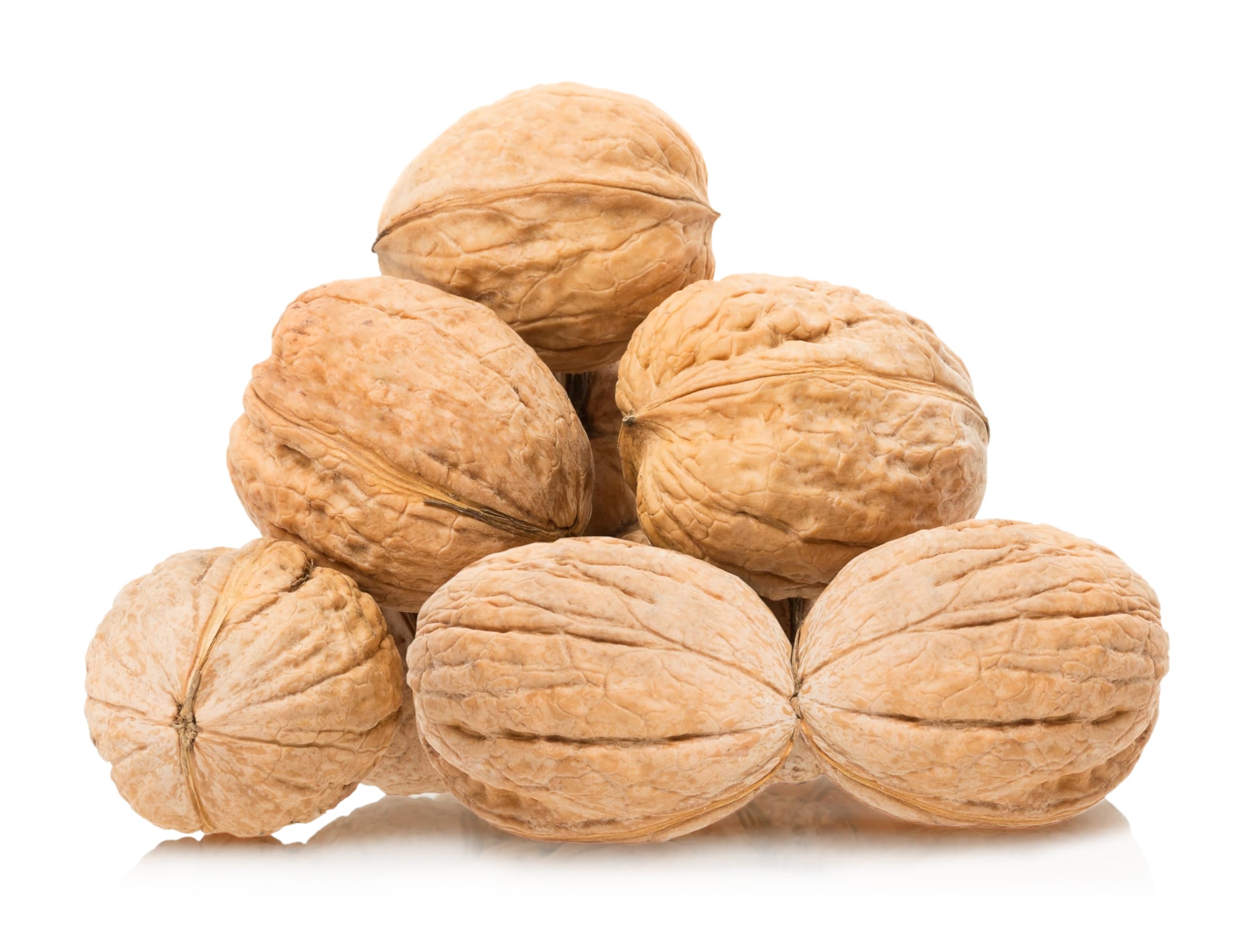 Raw California Walnuts In Shell – 4 lbs -Premium