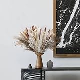 Shakeel Natural Dried Pampas Grass 65Pcs Fluffy Bouquet UK Brand view 4