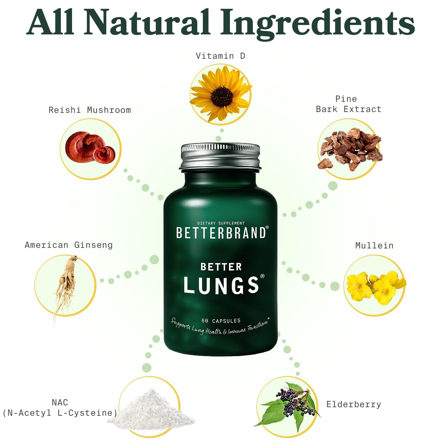 Betterbrand Mullein Leaf Extract for Lungs – Lung Support with Elderberry, Vitamin D, Ginseng & Reishi – Healthy Flow Cleanse & Immune Support– 60 Capsules