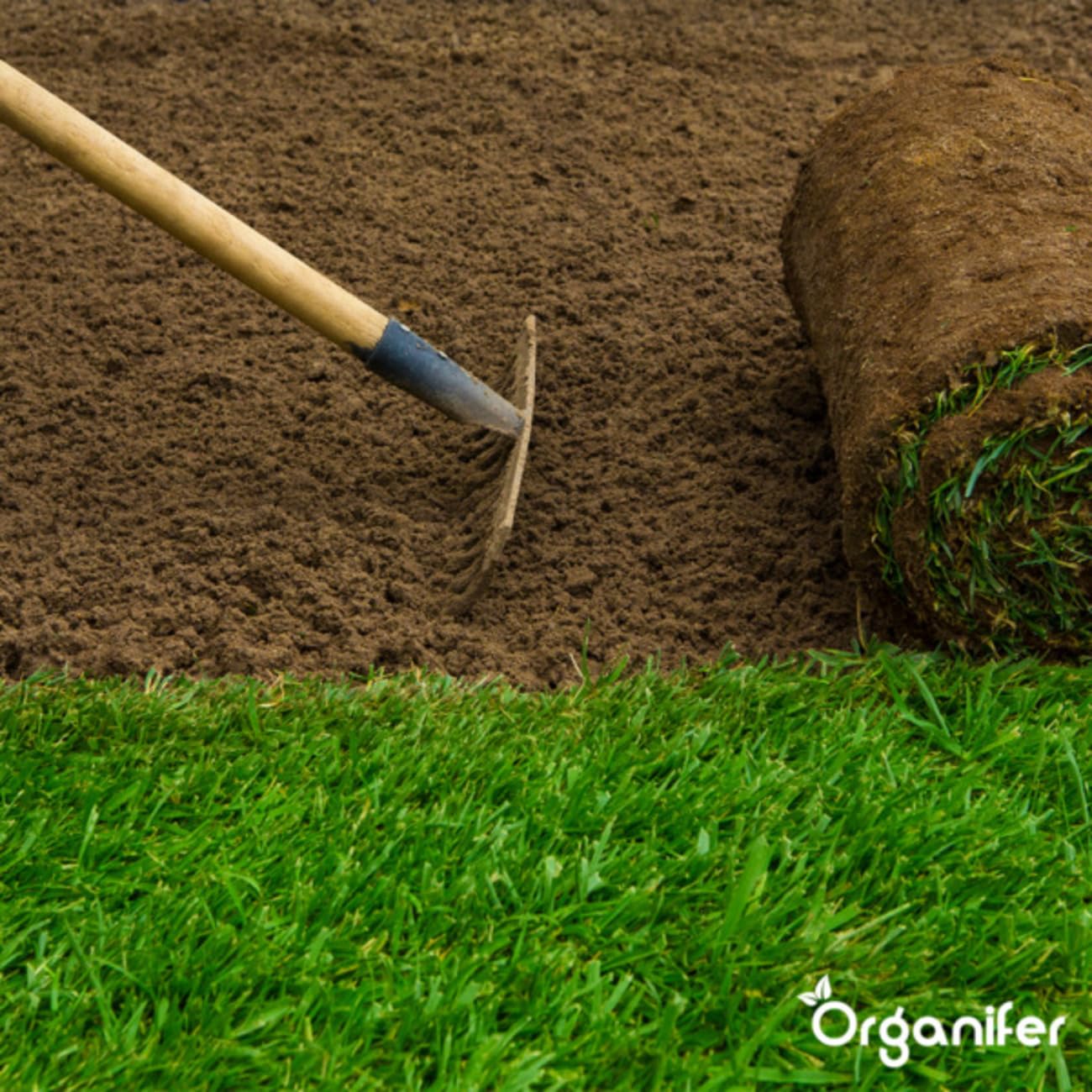 Organifer Kuhmistpellets 3in1 (20 kg - für 200 m2), Organischer Dünger, Natürlicher Bodenverbesserer, Nachhaltige Gartenarbeit, Umweltfreundlicher Dünger, Nährstoffreich, Rasenverbesserung 2